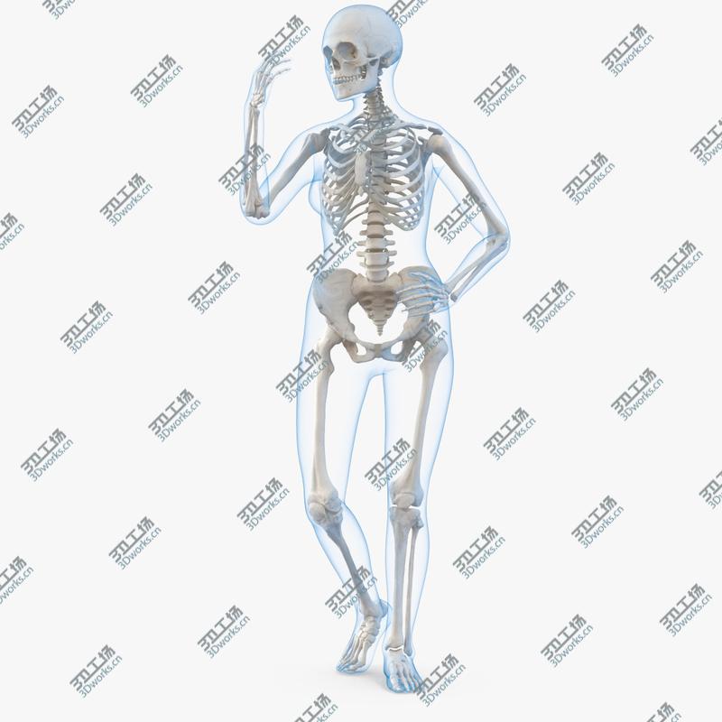 images/goods_img/202104022/Female Body with Skeleton Rigged 3D/1.jpg